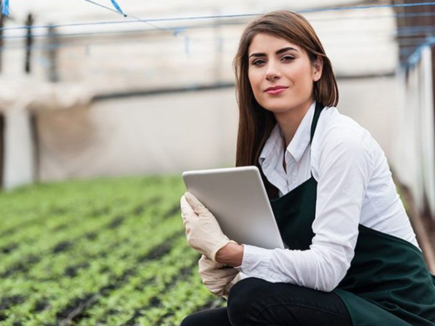 y seguimiento de los cultivos